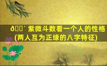 🐴 紫微斗数看一个人的性格(两人互为正缘的八字特征)